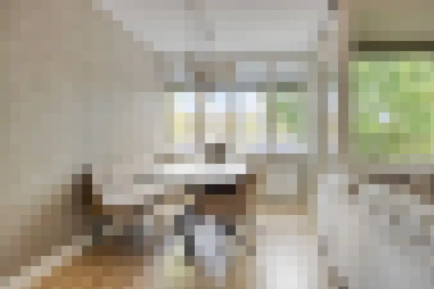 Baljuwstraat 66 Oss thumbnail 6