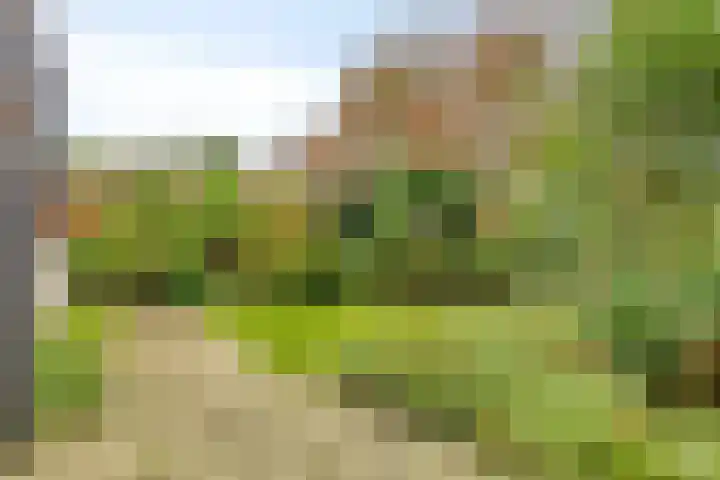 Baljuwstraat 8 Wassenaar thumbnail 5