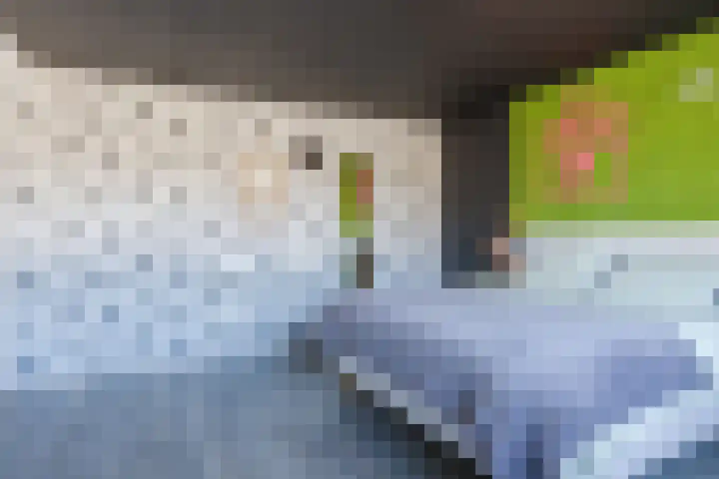 Baljuwstraat 9 Raamsdonk thumbnail 18