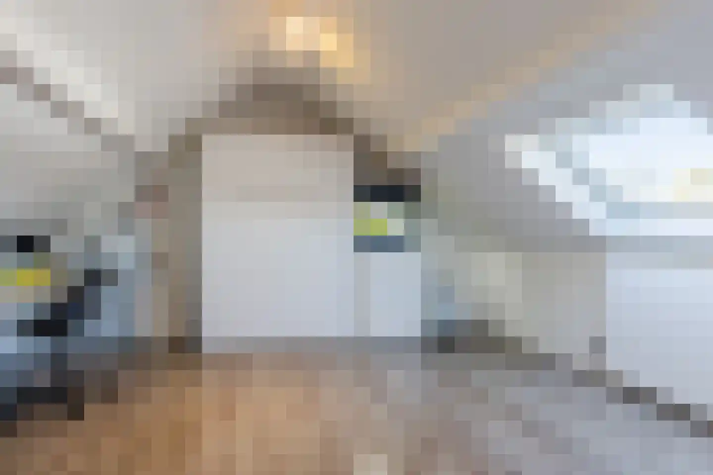 Baljuwstraat 9 Raamsdonk thumbnail 24
