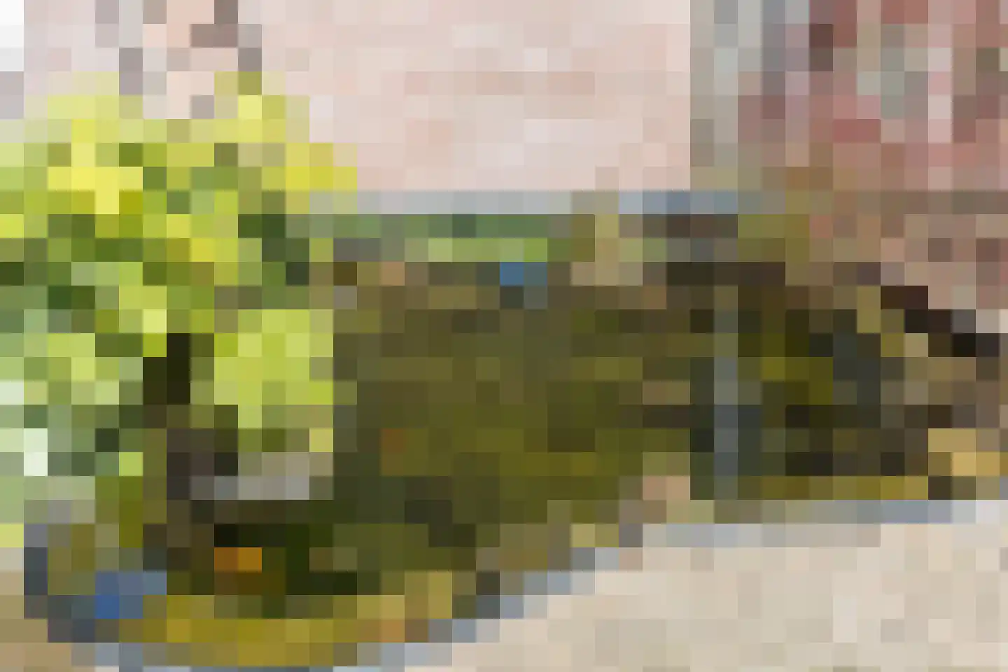 Baljuwstraat 9 Raamsdonk thumbnail 27