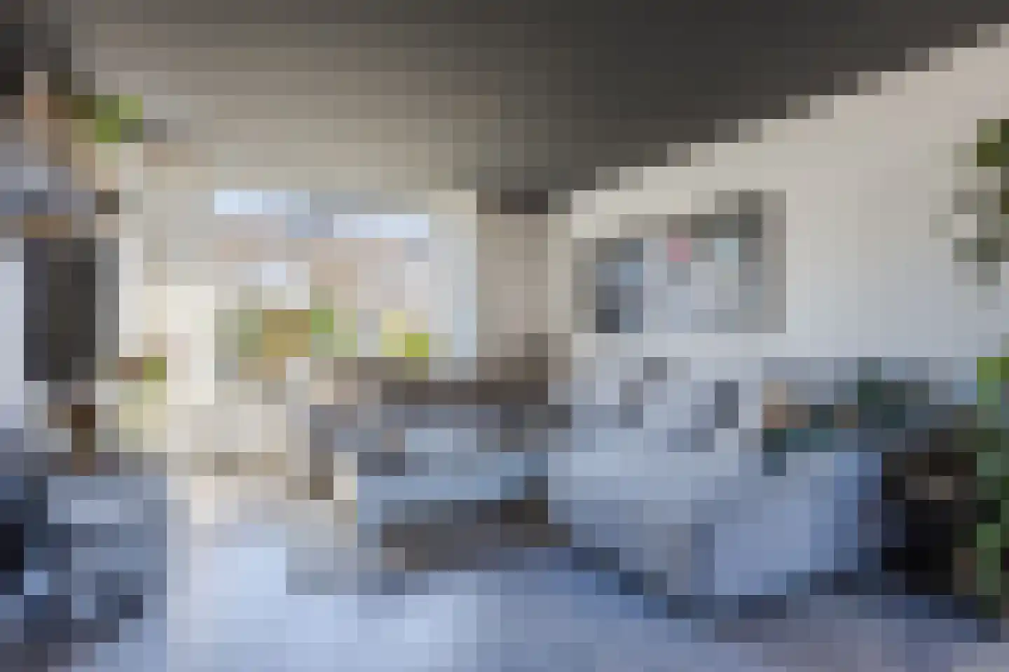 Baljuwstraat 9 Raamsdonk thumbnail 4