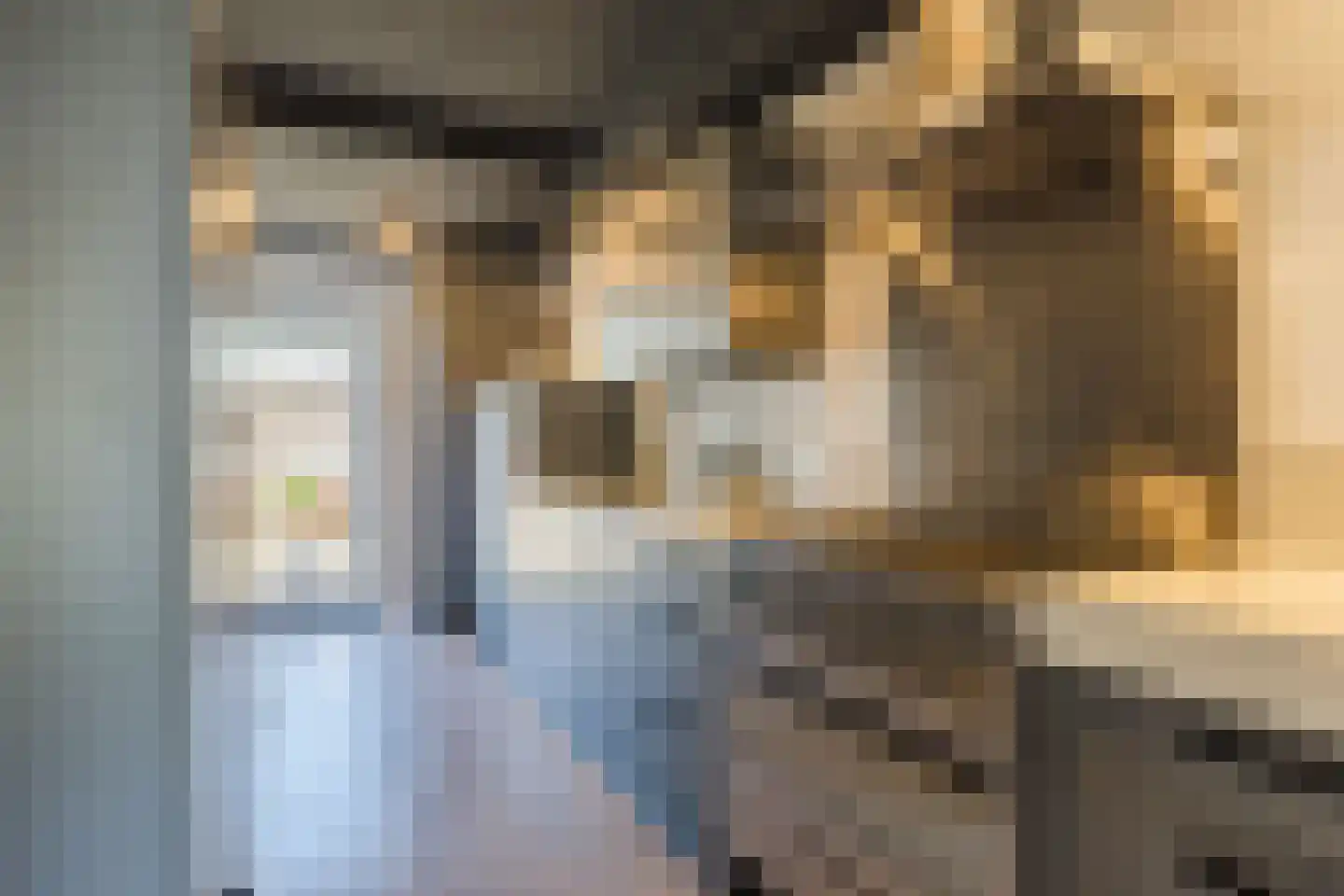 Baljuwstraat 9 Raamsdonk thumbnail 8