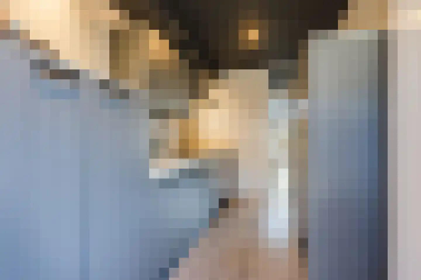 Baljuwstraat 9 Raamsdonk thumbnail 9