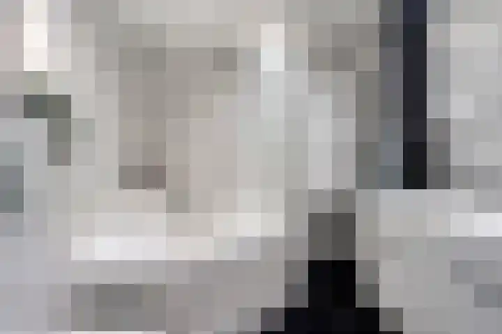 Baljuwweg 13 Heenvliet thumbnail 12