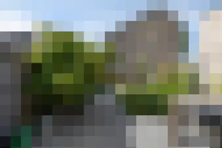 Baljuwweg 13 Heenvliet thumbnail 20