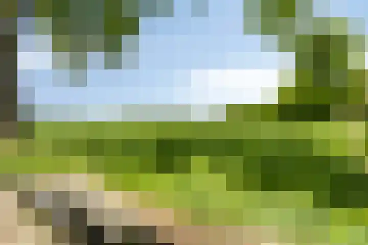 Baljuwweg 13 Heenvliet thumbnail 22