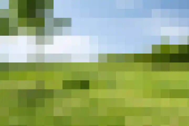 Baljuwweg 13 Heenvliet thumbnail 23
