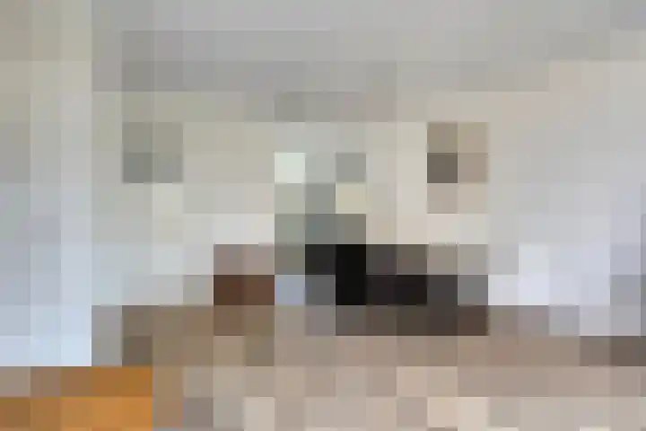 Baljuwweg 13 Heenvliet thumbnail 6
