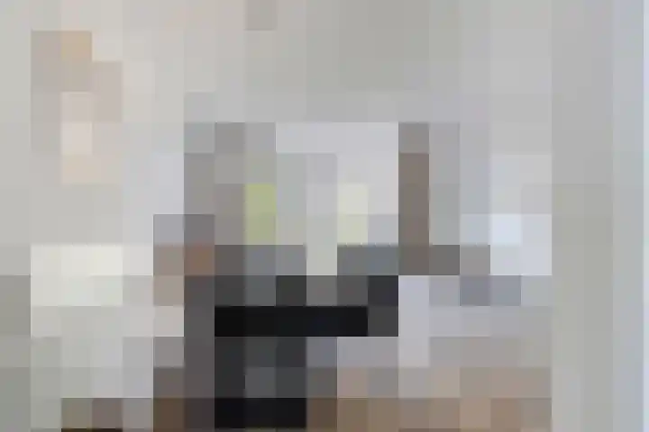 Baljuwweg 13 Heenvliet thumbnail 7