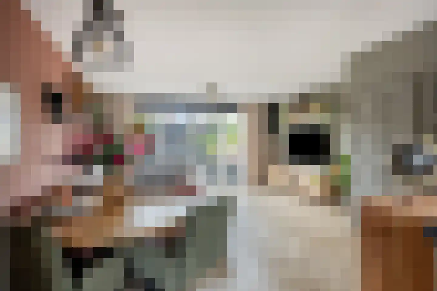 Baljuwweg 18 Heenvliet thumbnail 11