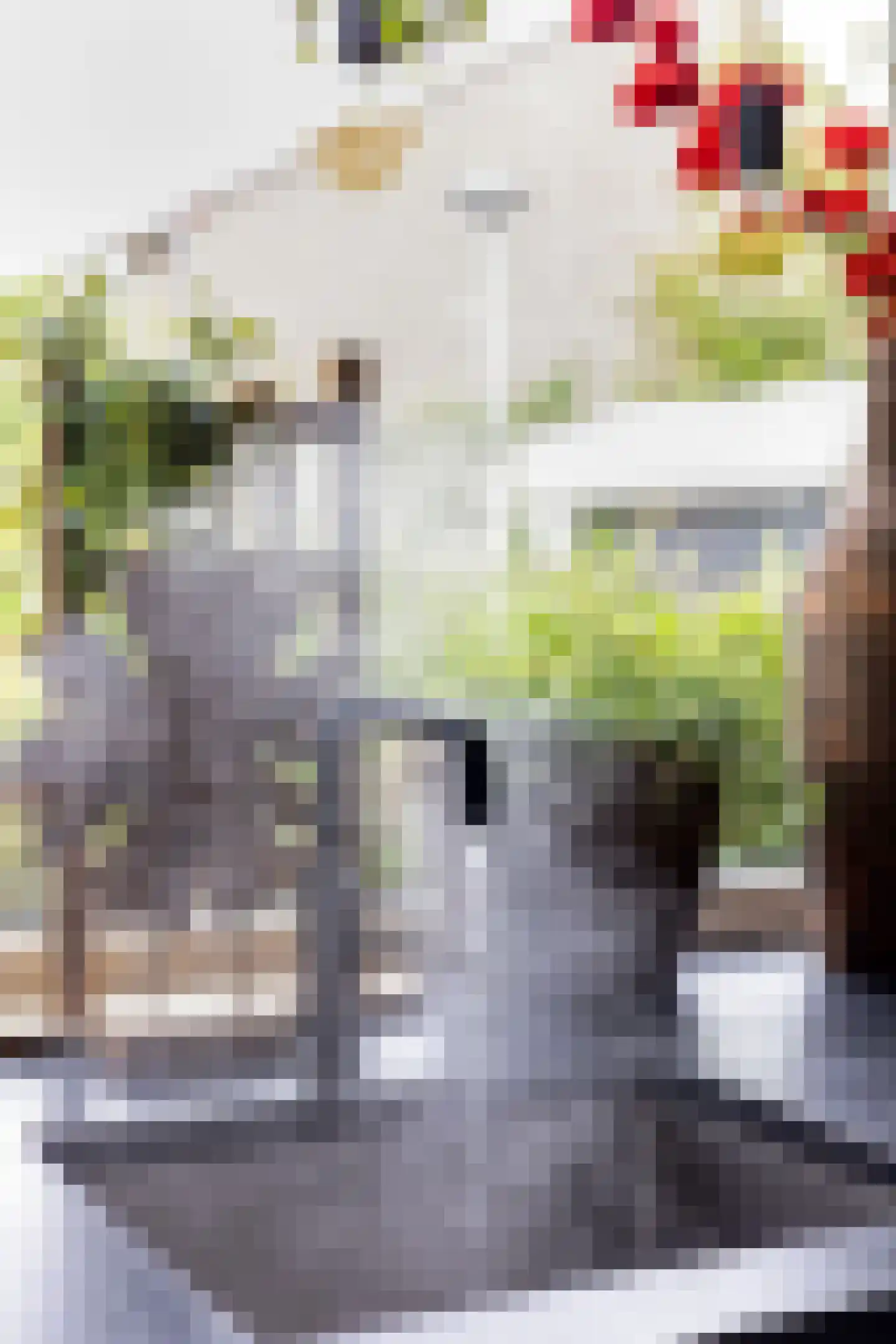 Baljuwweg 18 Heenvliet thumbnail 18