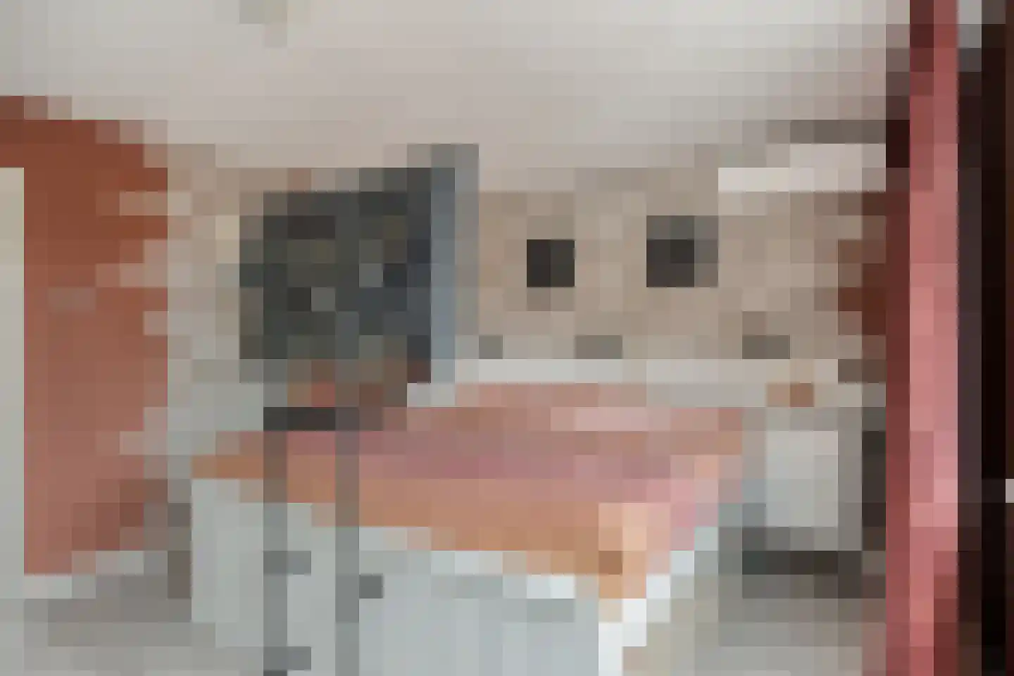 Baljuwweg 18 Heenvliet thumbnail 23