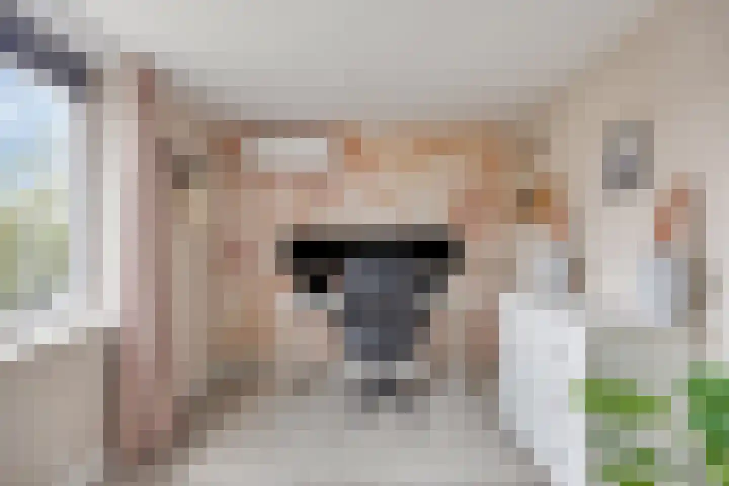 Baljuwweg 18 Heenvliet thumbnail 29