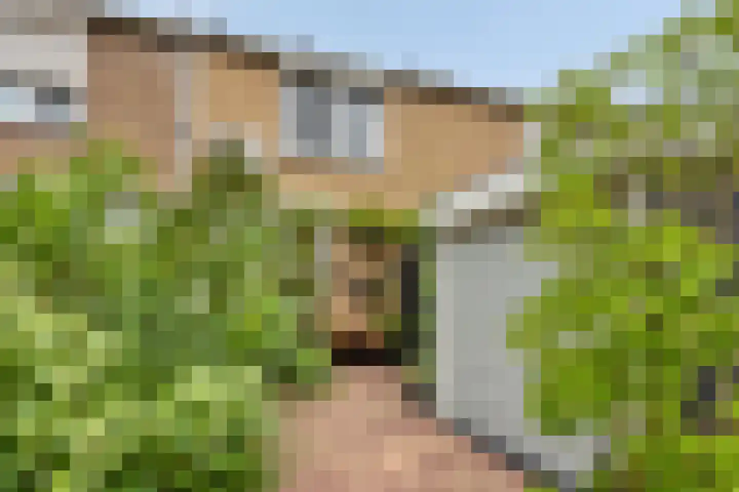 Baljuwweg 18 Heenvliet foto 3
