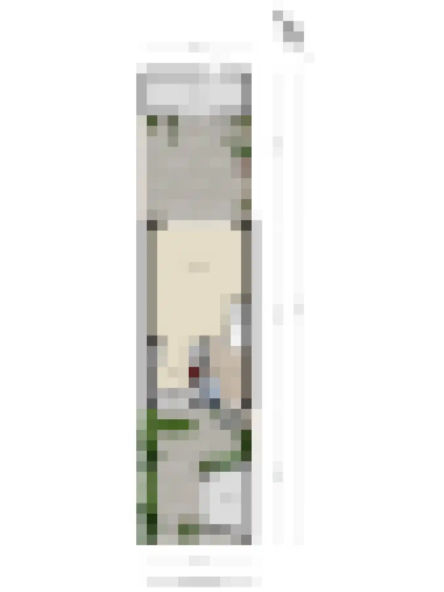 Baljuwweg 18 Heenvliet thumbnail 50