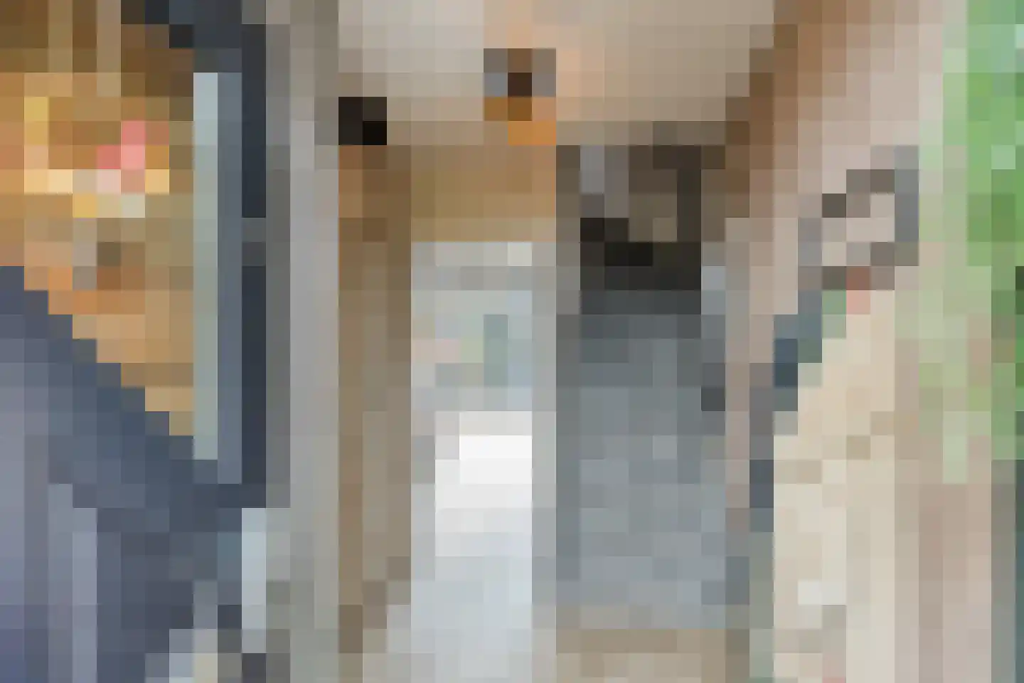 Baljuwweg 18 Heenvliet thumbnail 6