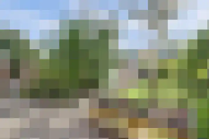 Baljuwweg 5 Zwijndrecht thumbnail 36