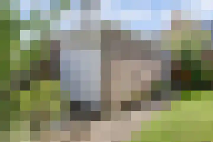 Baljuwweg 5 Zwijndrecht thumbnail 37