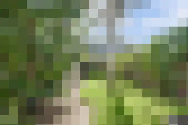 Baljuwweg 5 Zwijndrecht thumbnail 39