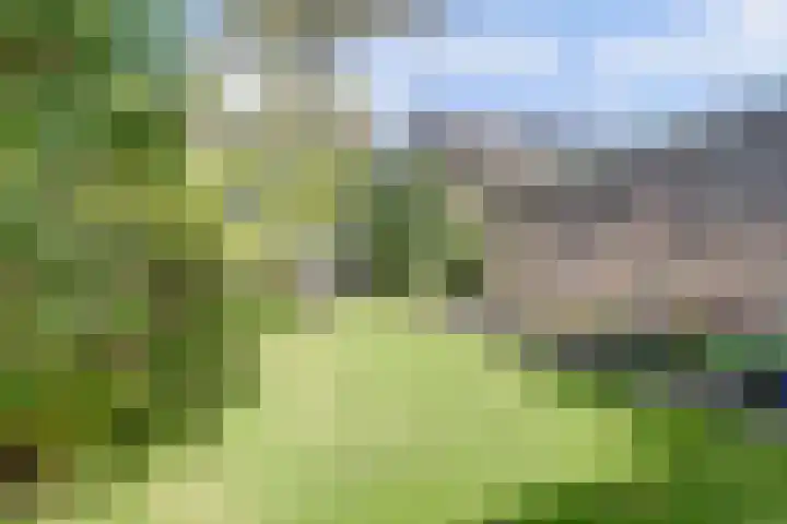 Baljuwweg 5 Zwijndrecht thumbnail 40