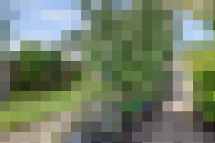 Baljuwweg 5 Zwijndrecht thumbnail 41