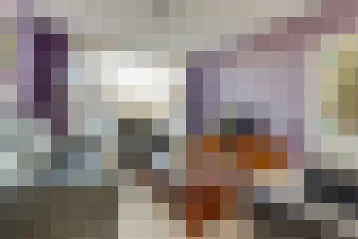 Baljuwweg 5 Zwijndrecht thumbnail 6