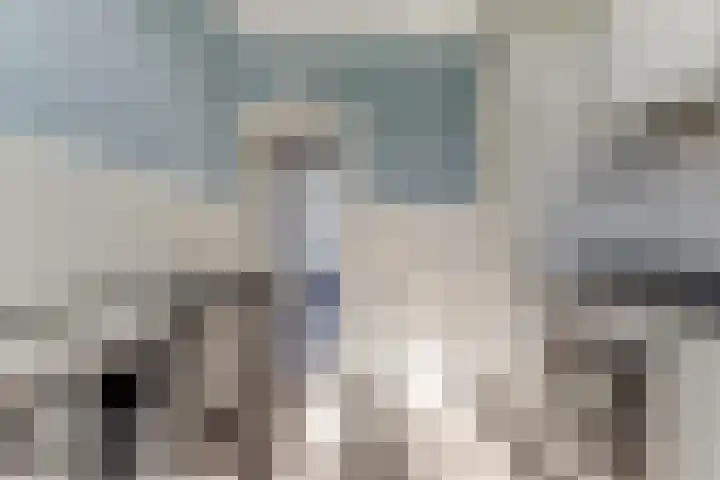 Baljuwweg 5 Zwijndrecht thumbnail 9