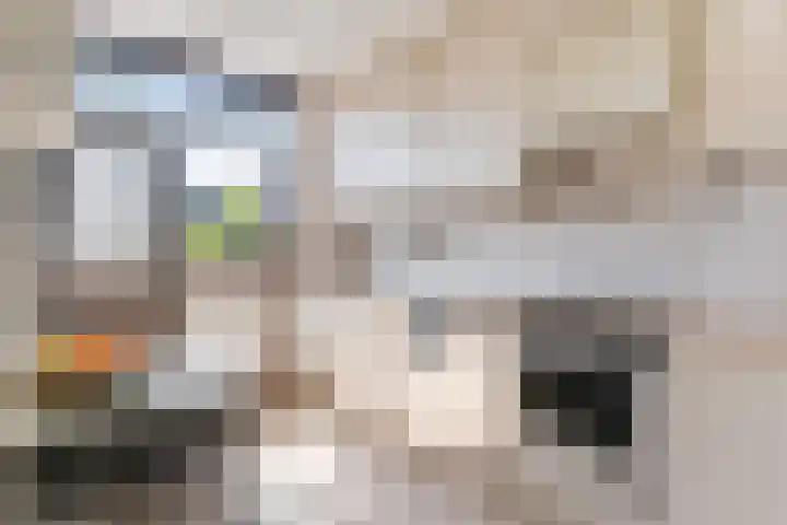 Baljuwweg 7 Zwijndrecht thumbnail 12