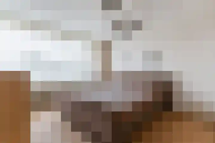 Baljuwweg 7 Zwijndrecht thumbnail 15