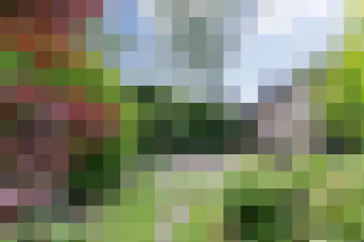 Baljuwweg 7 Zwijndrecht thumbnail 26