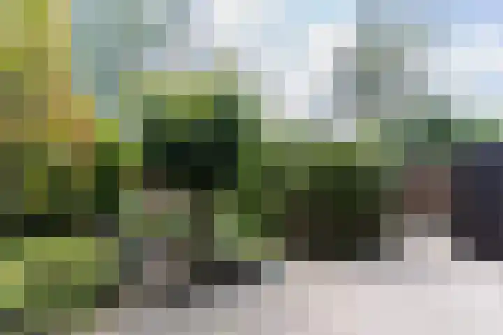 Baljuwweg 7 Zwijndrecht thumbnail 27