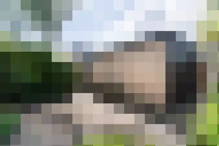 Baljuwweg 7 Zwijndrecht thumbnail 30