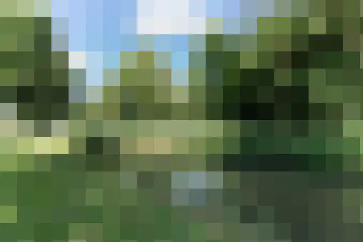 Baljuwweg 7 Zwijndrecht thumbnail 32