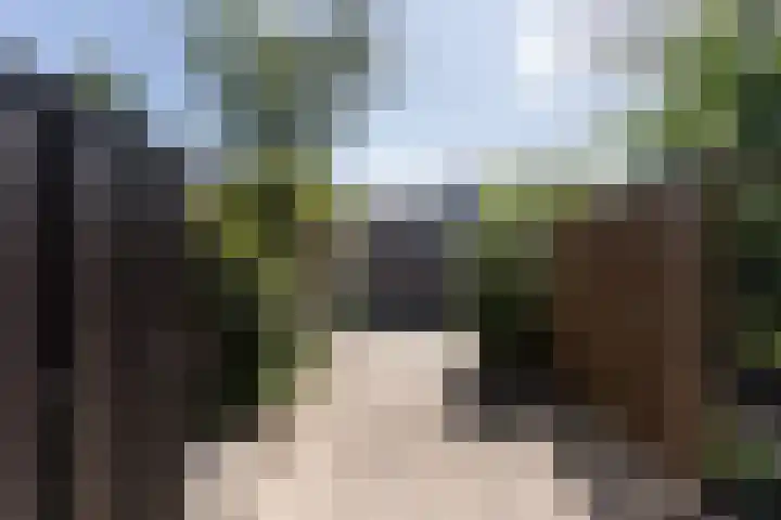 Baljuwweg 7 Zwijndrecht thumbnail 4