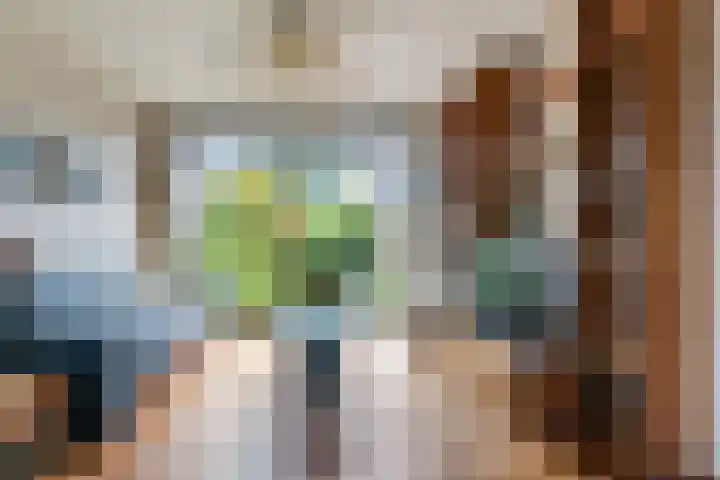 Baljuwweg 7 Zwijndrecht thumbnail 6