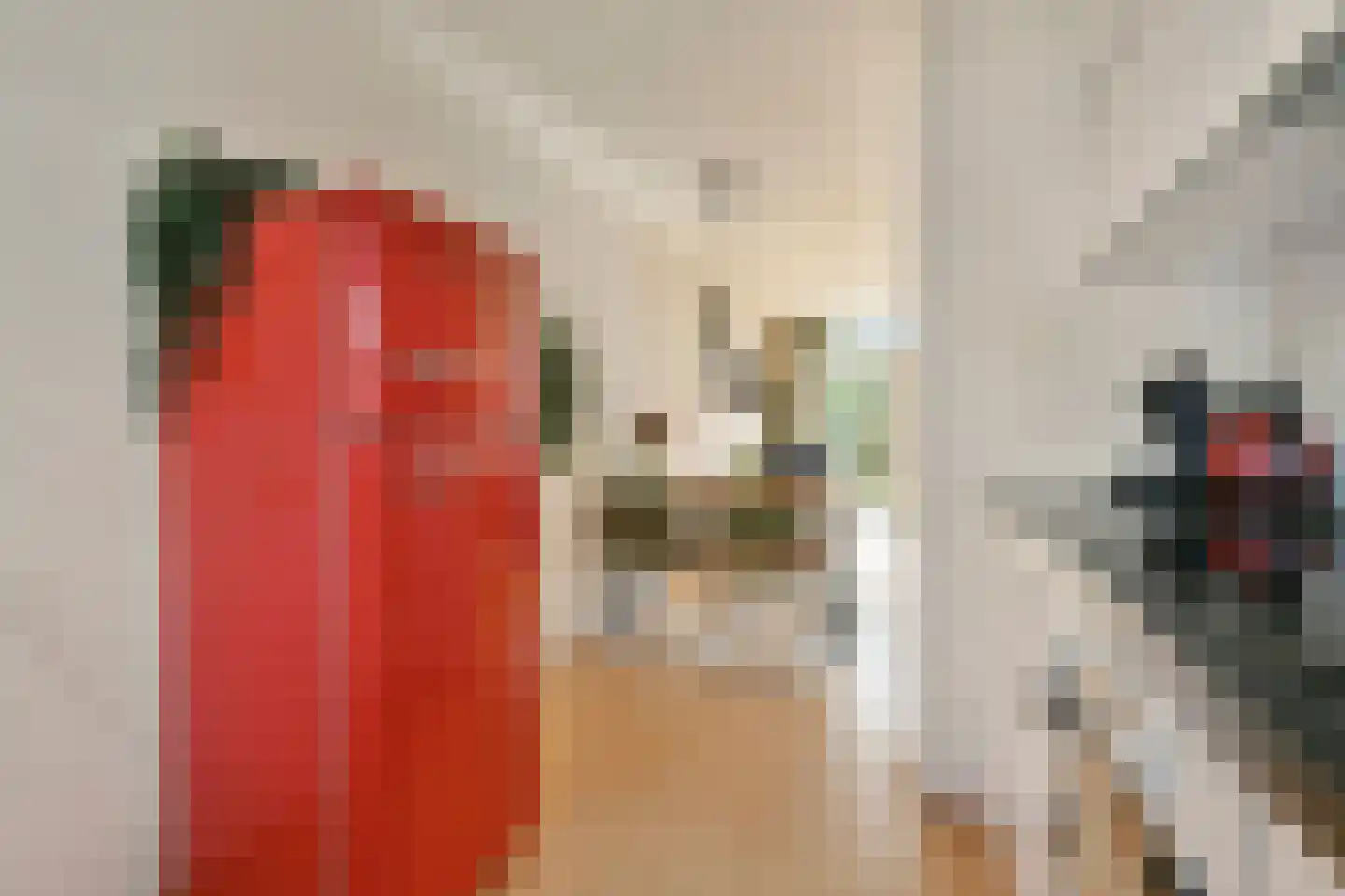 Baljuwweg 9 Heenvliet thumbnail 19