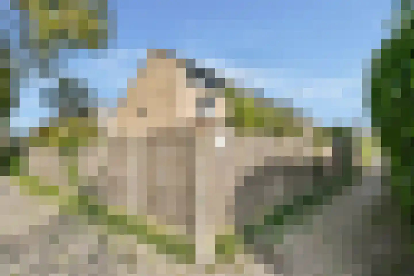 Baljuwweg 9 Heenvliet thumbnail 35