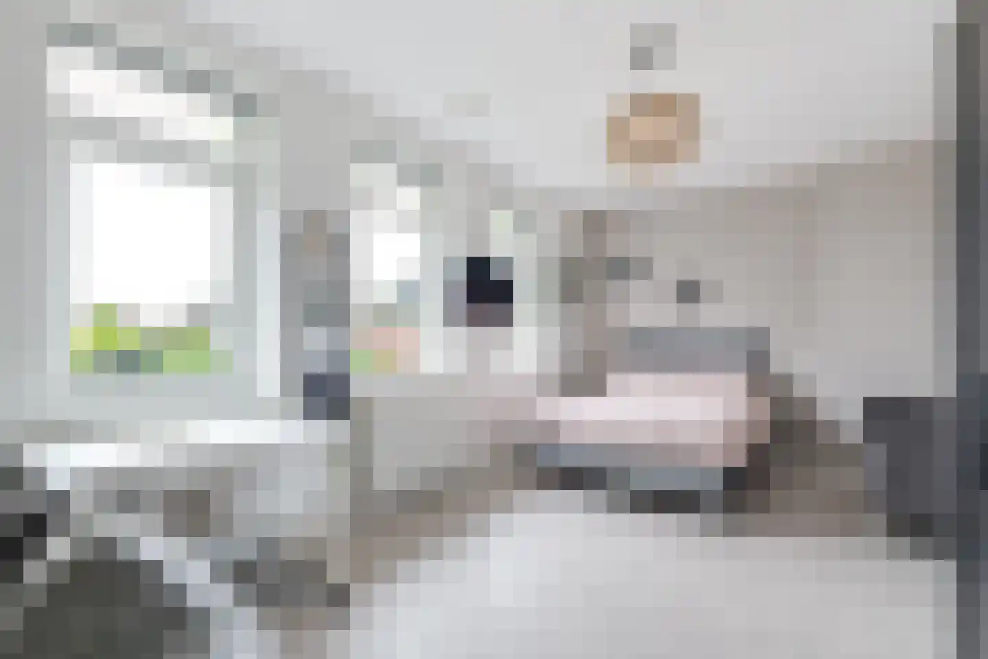 Baljuwweide 11 Alkmaar thumbnail 21