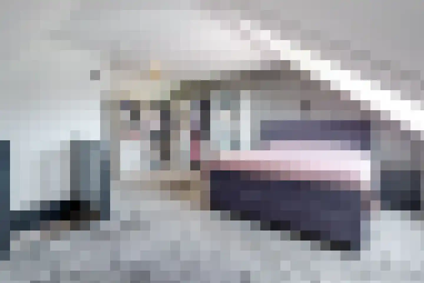 Baljuwweide 11 Alkmaar thumbnail 29