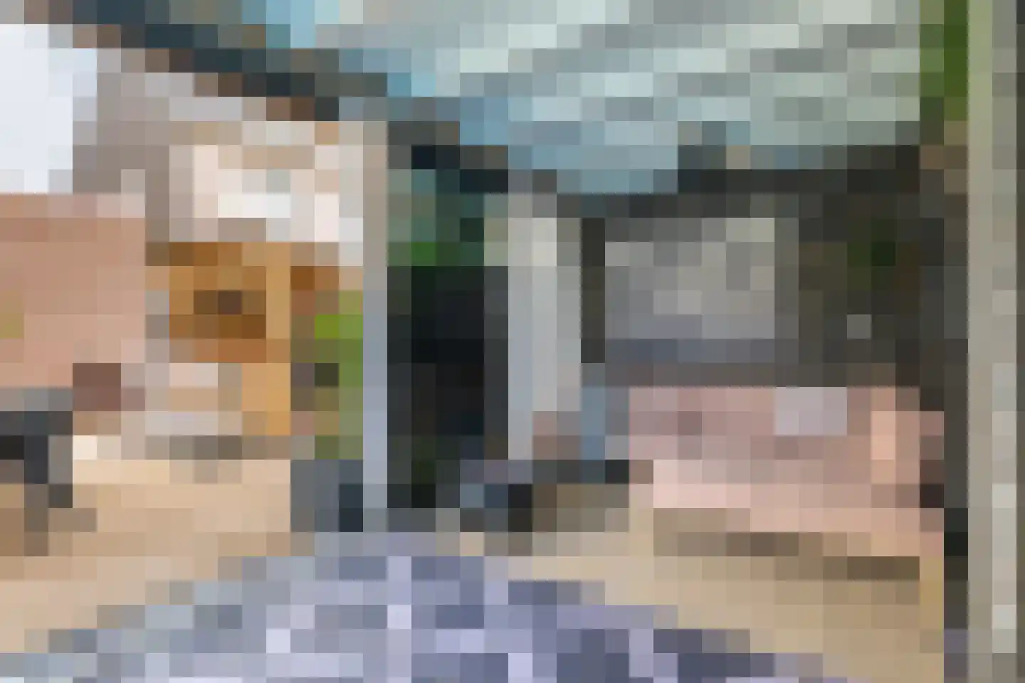 Baljuwweide 11 Alkmaar thumbnail 35