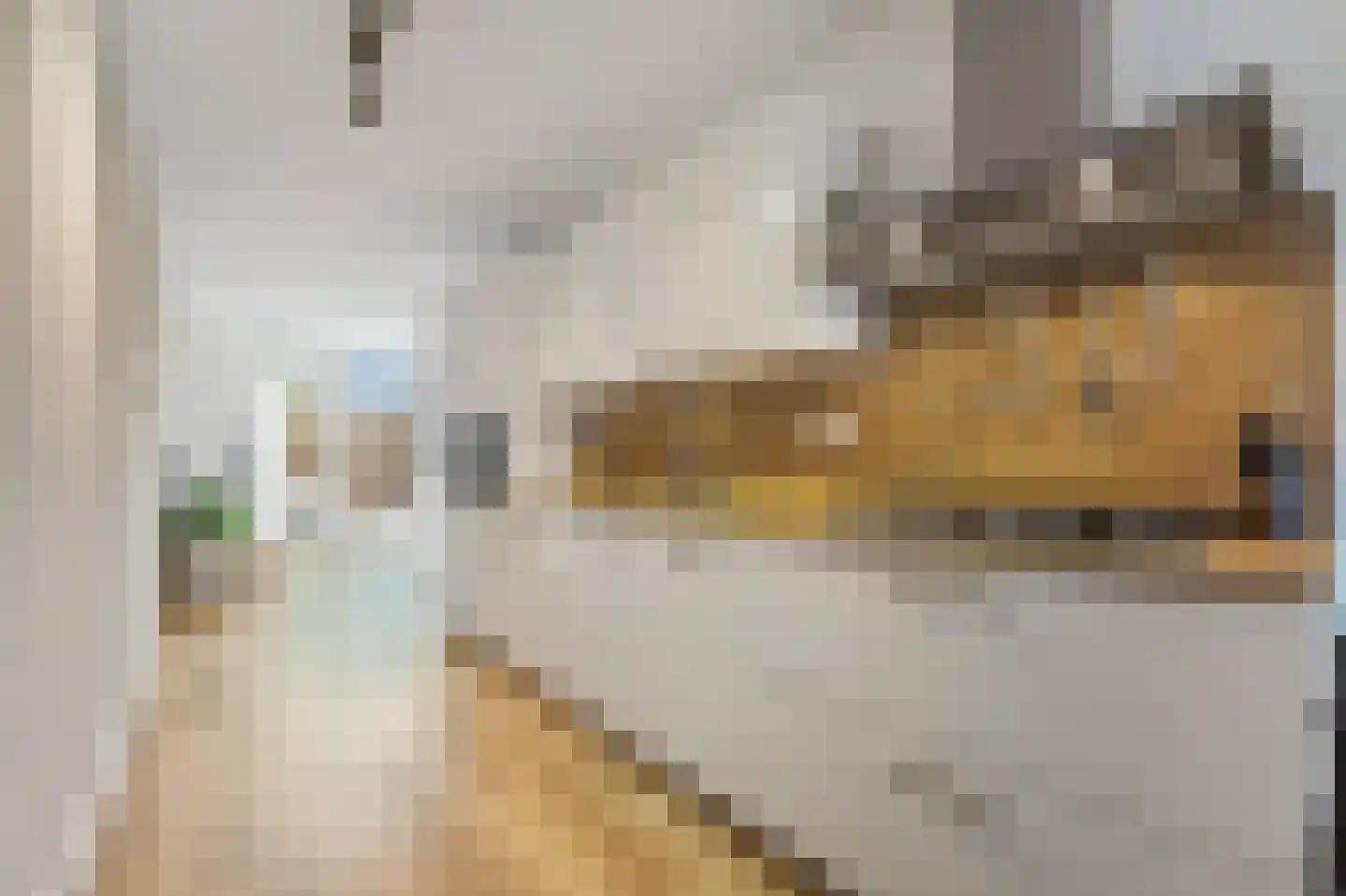 Balkengat 16 Den Hoorn thumbnail 11