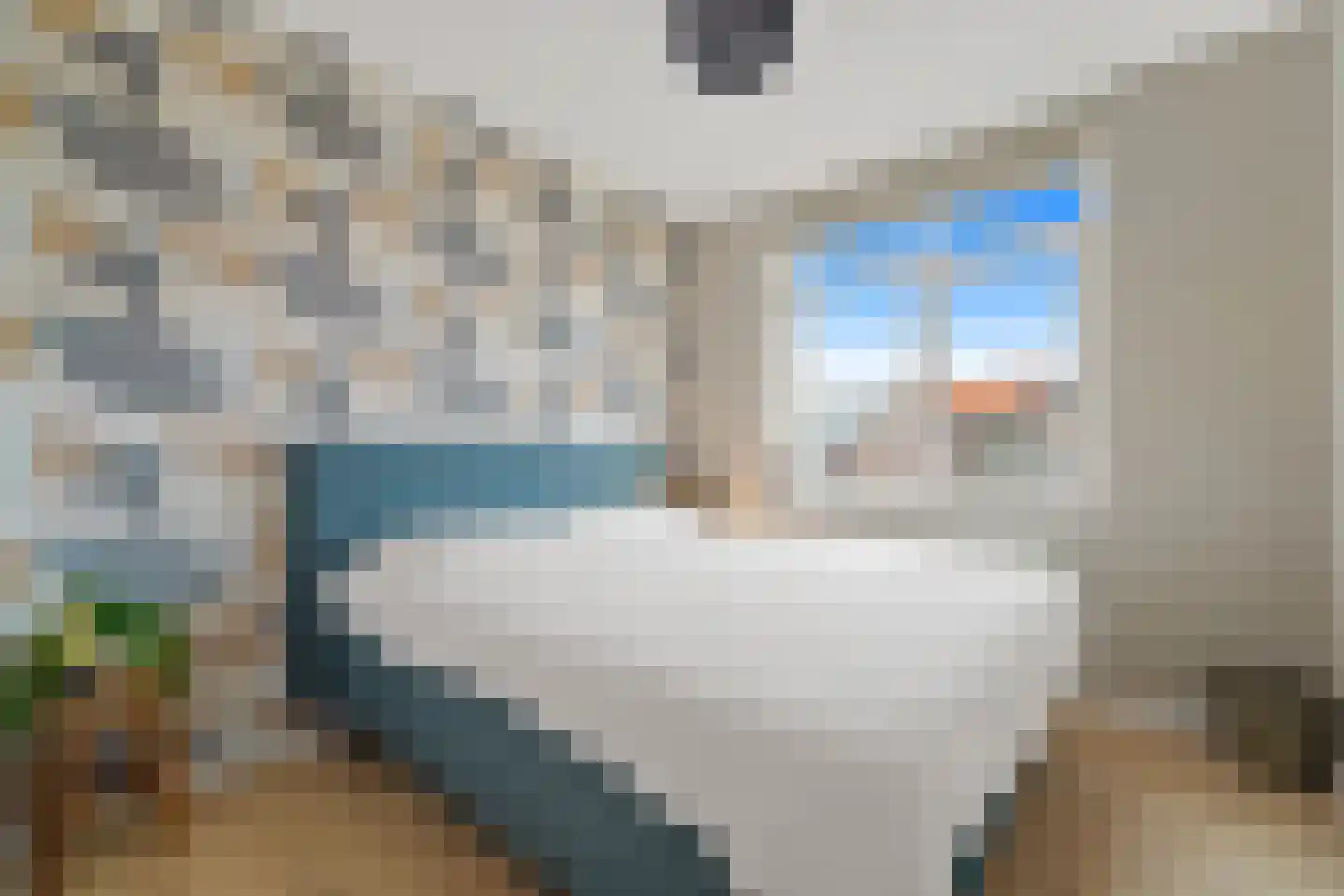 Balkengat 16 Den Hoorn thumbnail 30