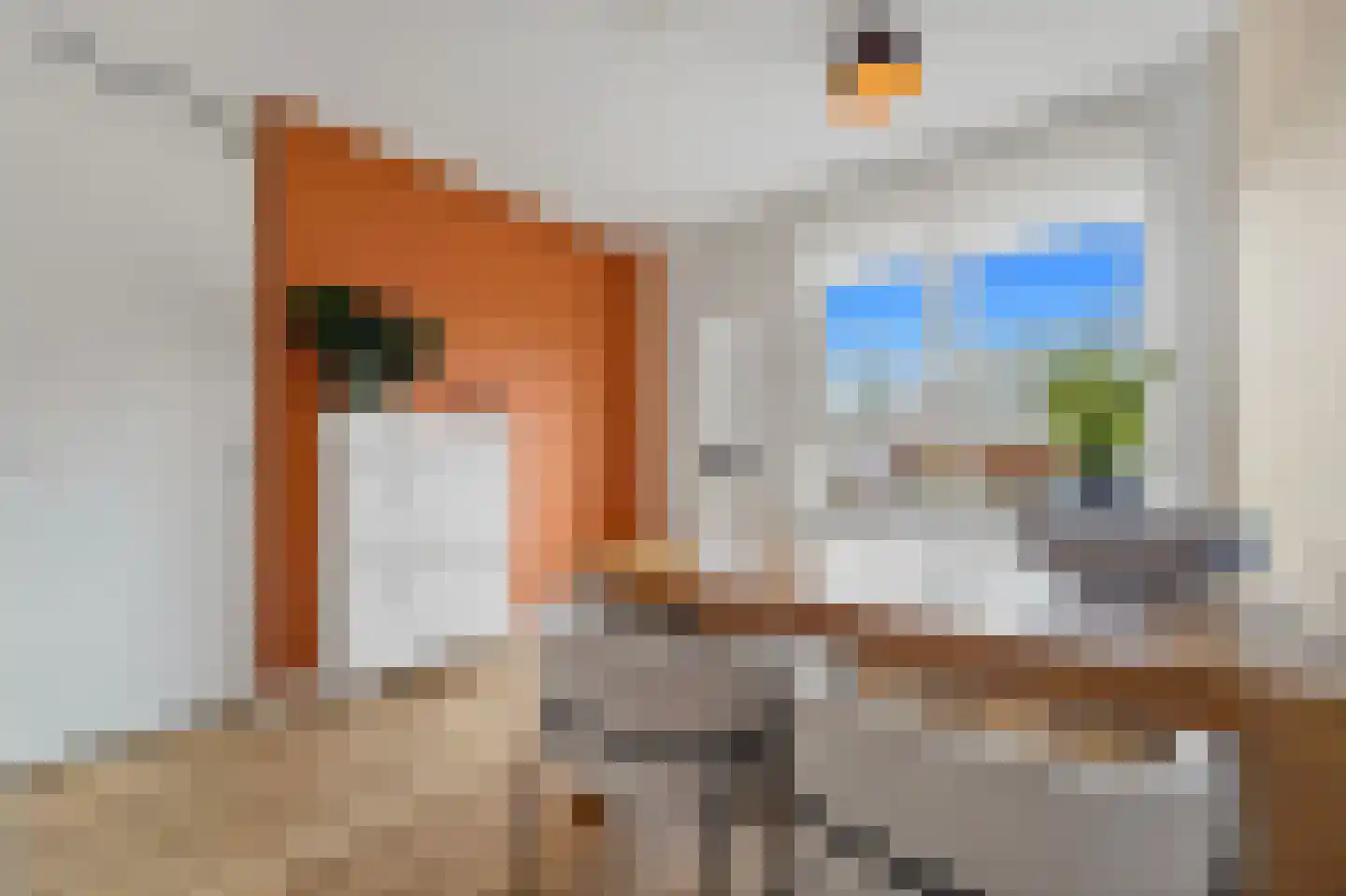 Balkengat 16 Den Hoorn thumbnail 8