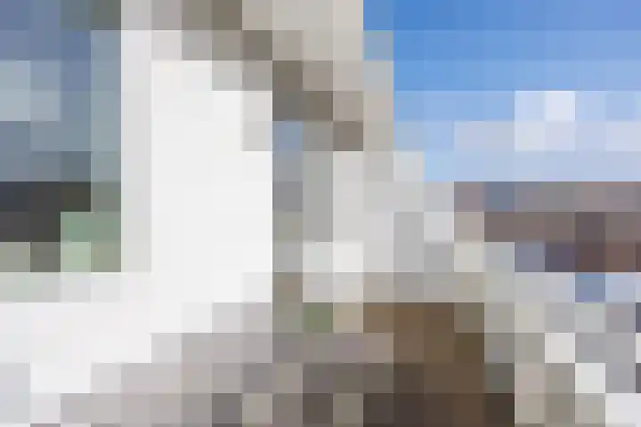 Balkengat 20 Den Hoorn thumbnail 12