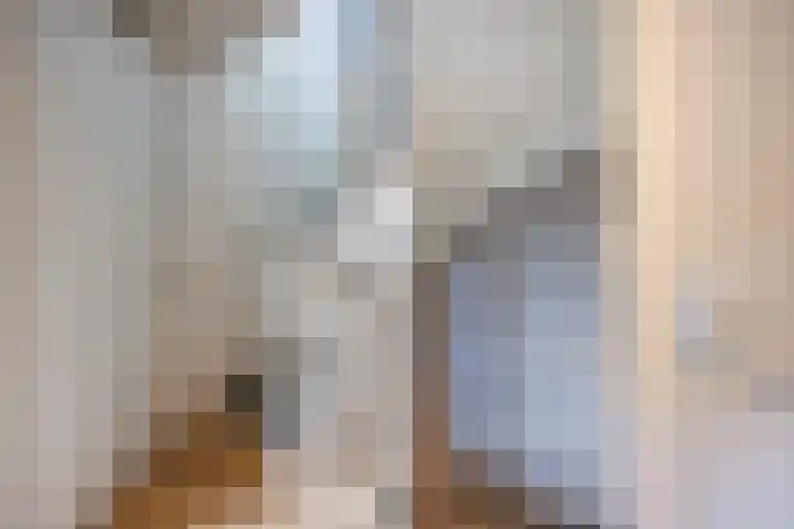 Balkengat 20 Den Hoorn thumbnail 23
