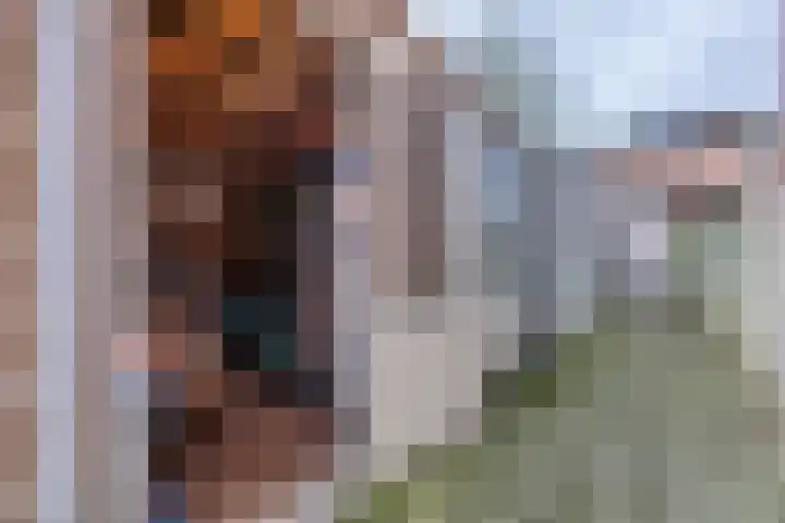 Balkengat 20 Den Hoorn thumbnail 26