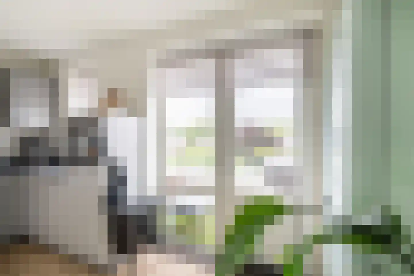 Balkengat 22 Den Hoorn thumbnail 10