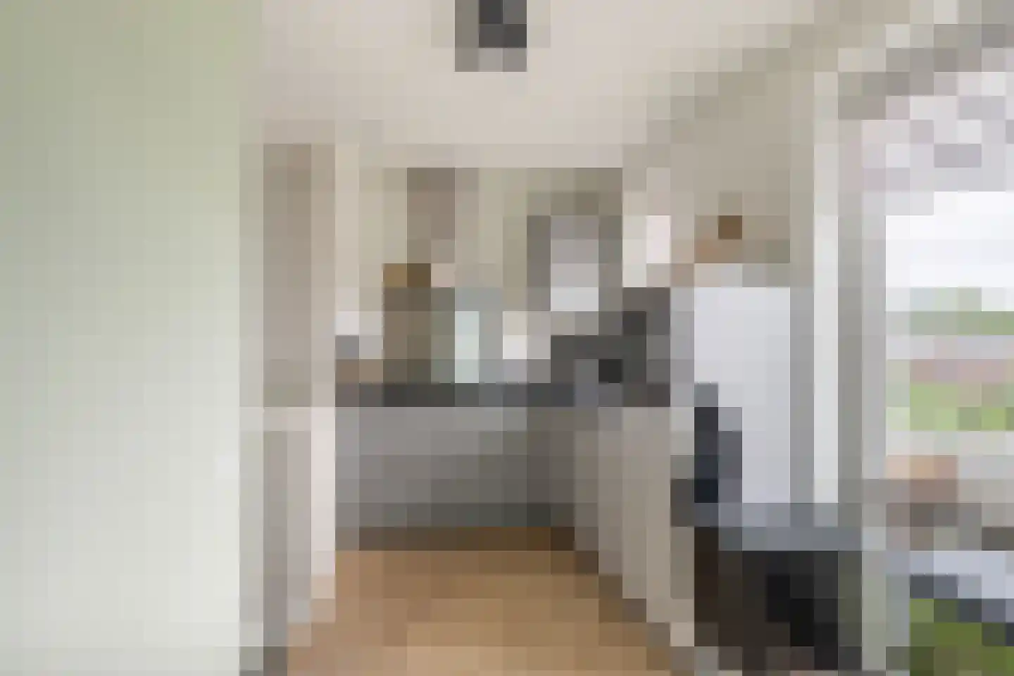 Balkengat 22 Den Hoorn thumbnail 9