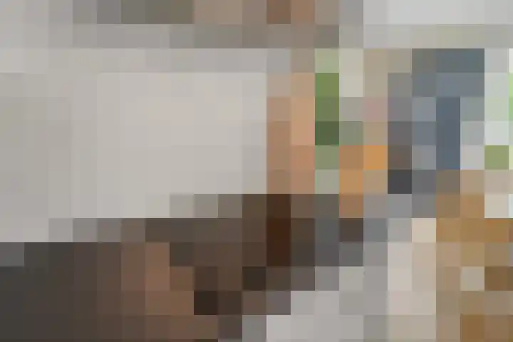 Balkengat 28 Den Hoorn thumbnail 11
